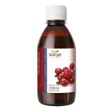 Arandano Rojo Concentrado · Sotya · 250 ml