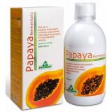 Papaya Fermentata · Specchiasol · 500 ml