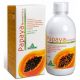 Papaya Fermentata · Specchiasol · 500 ml