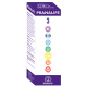 Pranalife 3 · Equisalud · 50 ml
