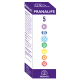 Pranalife 5 · Equisalud · 50 ml