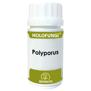 https://www.herbolariosaludnatural.com/4945-thickbox/holofungi-polyporus-equisalud-50-capsulas.jpg