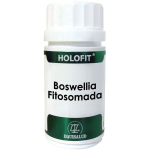 https://www.herbolariosaludnatural.com/8805-thickbox/holofit-boswellia-fitosomada-equisalud-50-capsulas.jpg