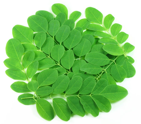 La Moringa, un nuevo superalimento