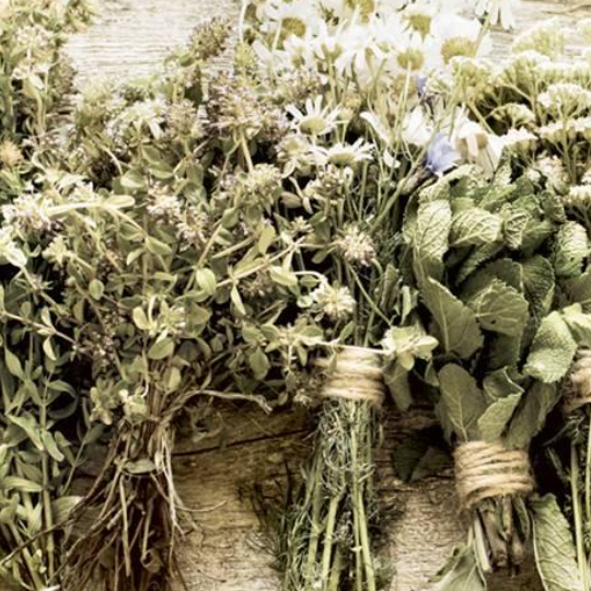 La importancia de mantener el aire limpio en el Herbolario