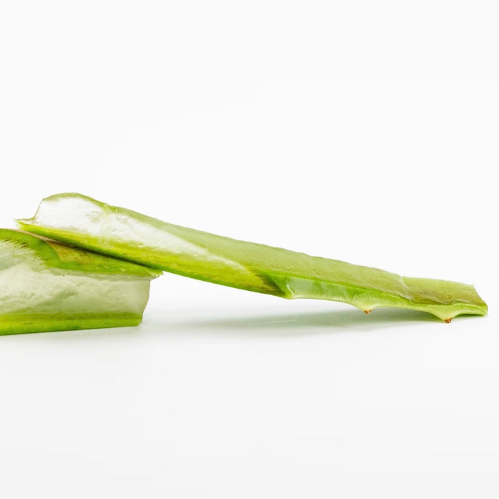 El aloe vera, tu aliado contra el estreñimiento