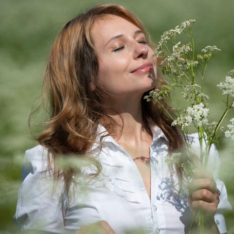 Valeriana: para qué sirve, qué es, cómo tomarla, propiedades y alternativas (Usos para el estrés y dormir)