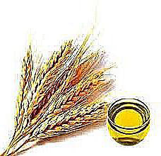 Aceite de Germen de Trigo
