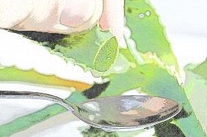 Aloe vera líquido