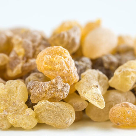 Boswellia