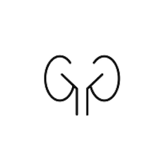 Cuidado Renal
