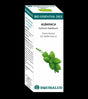 Bio Essential Oil Albahaca · Equisalud · 10 ml