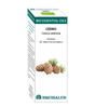Bio Essential Oil Cedro · Equisalud · 10 ml