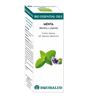 Bio Essential Oil Menta · Equisalud · 10 ml