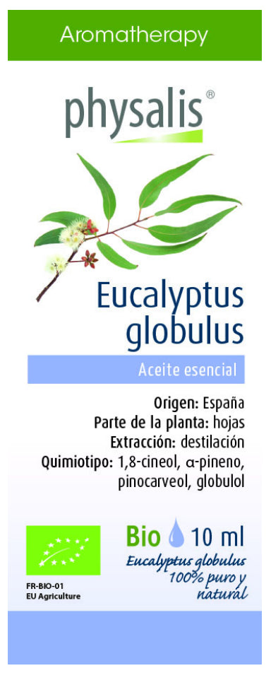 Aceite Esencial de Eucalipto Globulus · Physalis · 10 ml