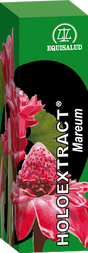 Holoextract Mareum · Equisalud · 31 ml