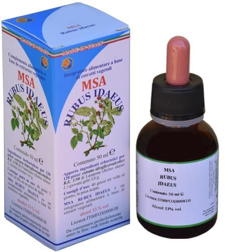MSA Rubus Idaeus · Herboplanet · 50 ml