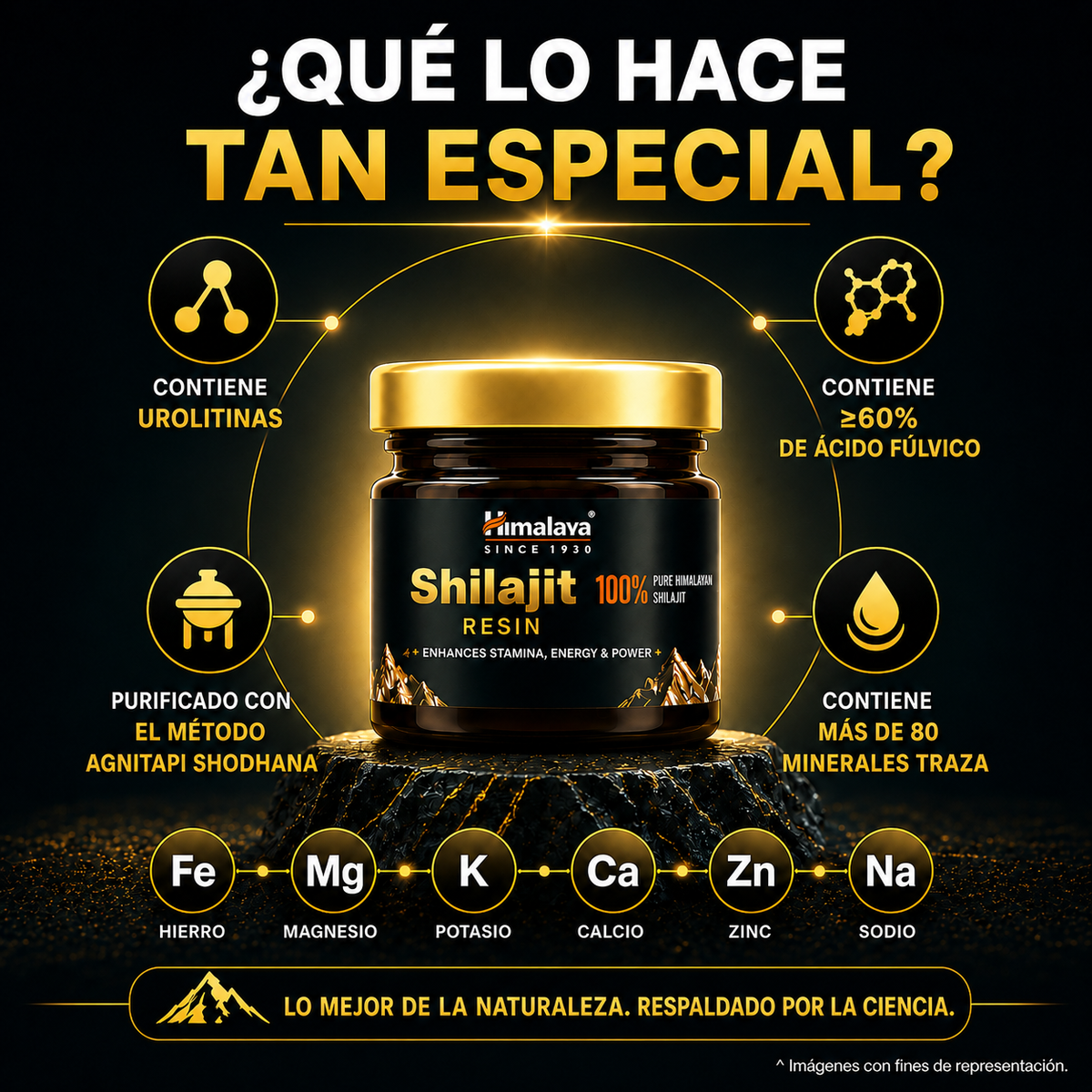 Shilajit Resina · Himalaya · 20 gramos