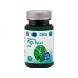 Alga Fucus · Sakai · 100 Comprimidos