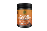 Muscle Recovery Chocolate · Gold Nutrition · 900 gramos