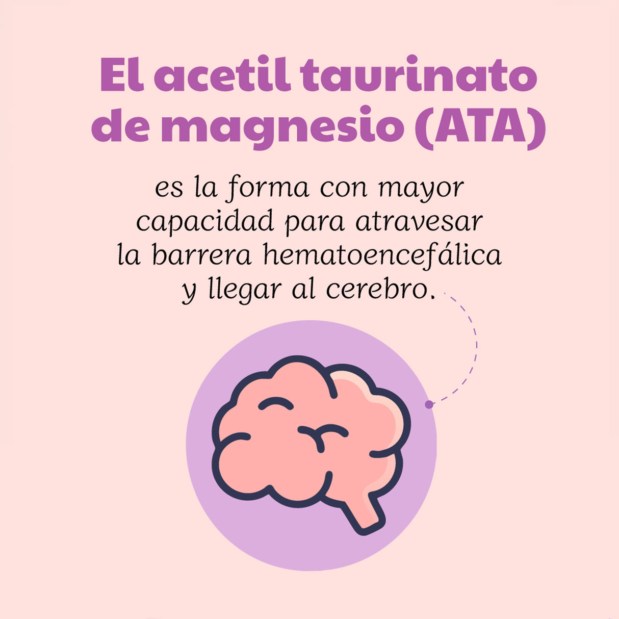 Magnesio ATA · Sura Vitasan — infografía 2