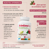Arándano Rojo · Sura Vitasan — infografía