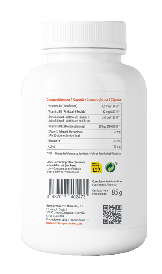 Metil-Cist · Betula · 100 cápsulas