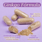 Ginkgo Fórmula · Sura Vitasan — presentación