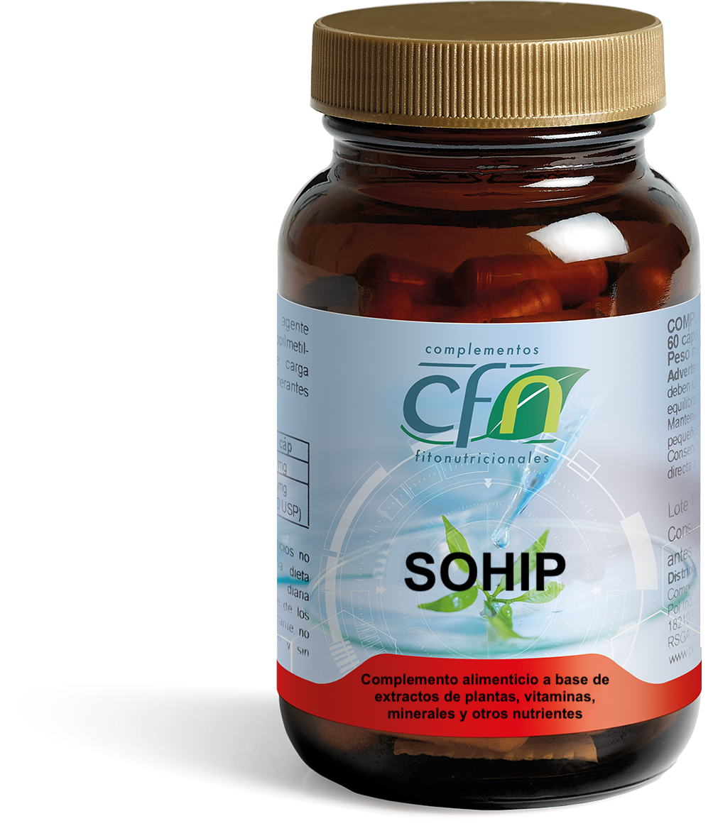 l carnitina la puede tomar un hipertenso pode L-Carnitina 500Mg 60 Doses L carnitina | Qu es,