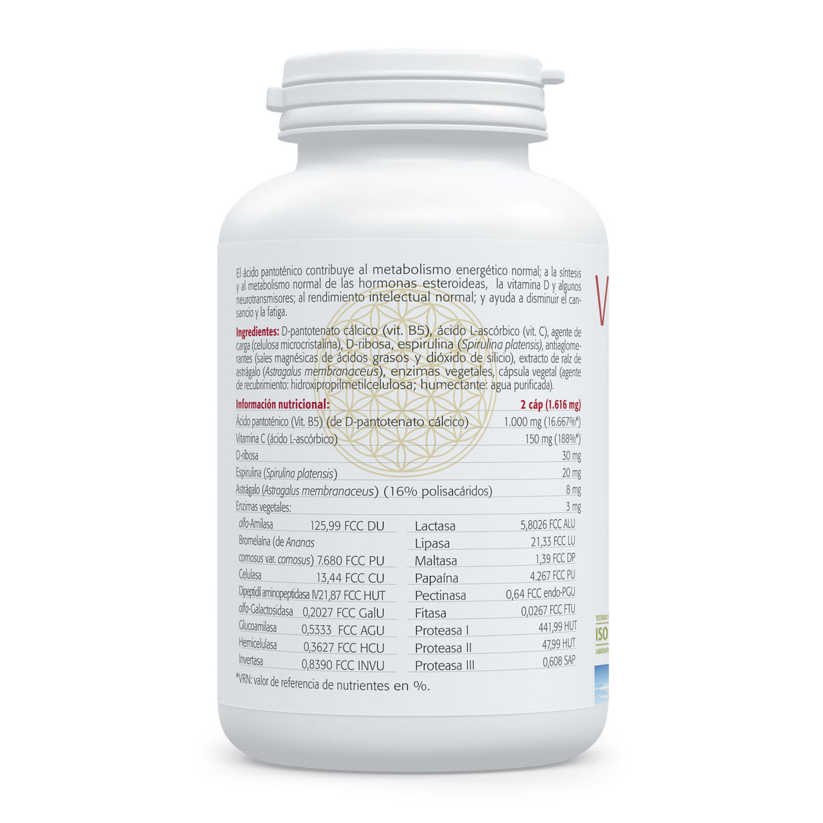 Vitamina B5 Sinergy · Sura Vitasan — CoA y metabolismo energetico