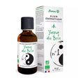Elixir Nº1 Yang de la Madera 5 Saisons