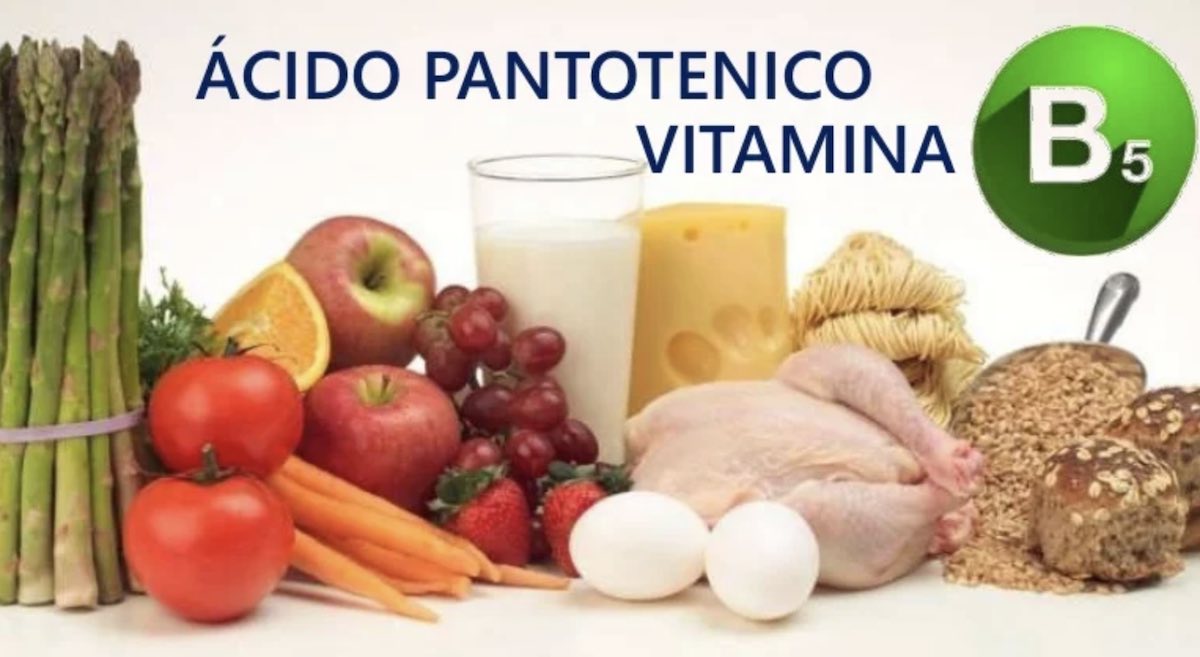 acido pantotenico,que es el acido pantotenico,propiedades del acido pantotenico,beneficios del acido pantotenico,alimentos con acido pantotenico,herbolario online,cosmética natural