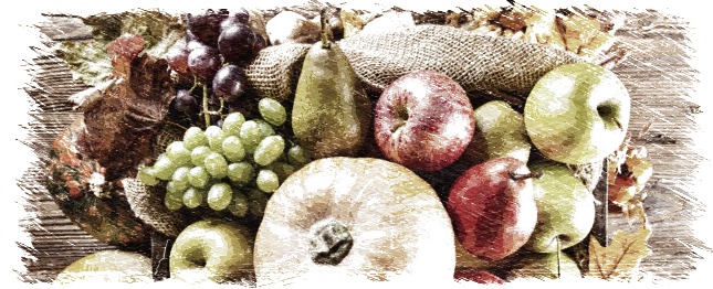 otoño,alimentos,manzanas,cítricos,kiwi,aguacate,granada,mango,herbolario online,cosmética natural,tratamientos naturales,productos naturales