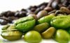 Extracto de Café Verde: una ayuda para los programas de pérdida de peso