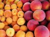 Frutas con hueso: cinco opciones muy saludables