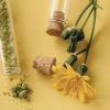 Plantas medicinales: propiedades, beneficios y aplicaciones terapéuticas